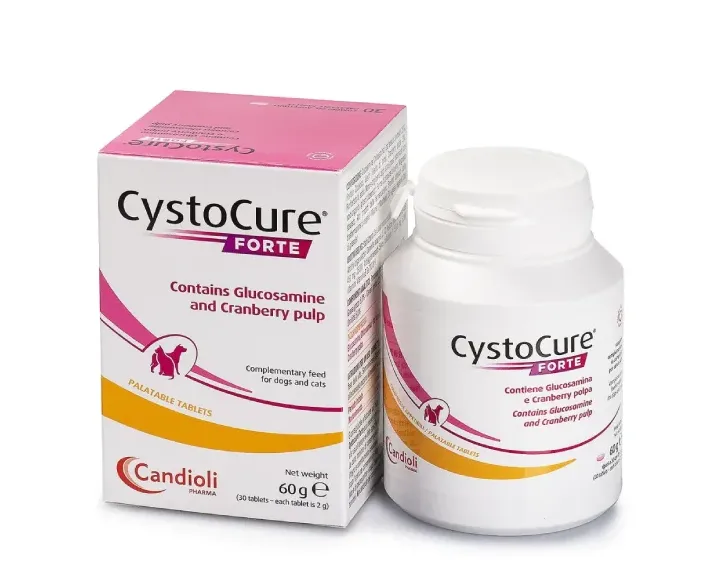Candioli Cystocure Forte for Dogs & Cats, 30 Tabs at ithinkpets.com (1) (1)
