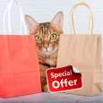 Cat Combos & Sale