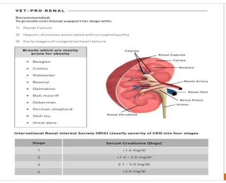 Drools Vet Pro Renal Gravy Food For Dog, 150 Gms at ithinkpets.com (2)