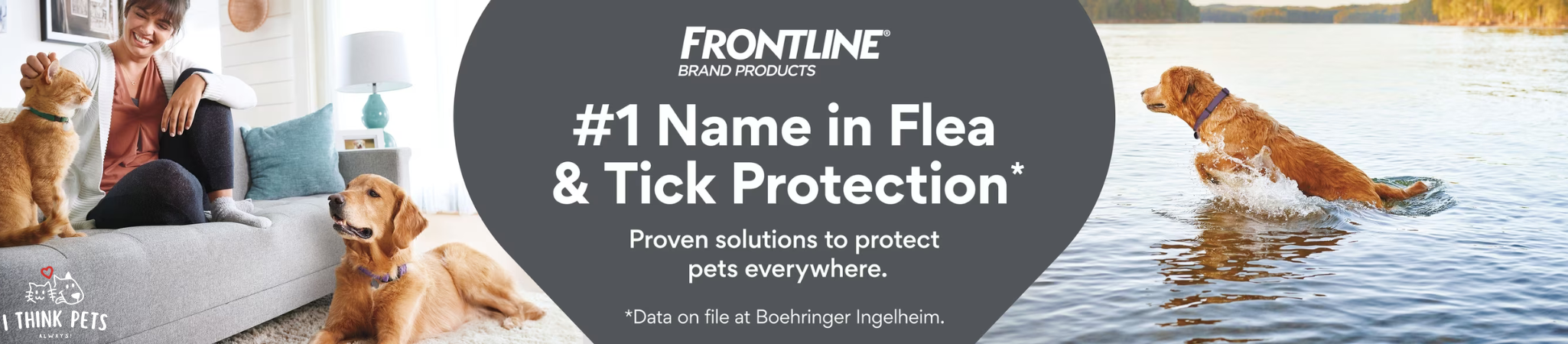 Frontline Plus Spot On For Dogs Large 20 To 40 Kg at ithinkpets.com
