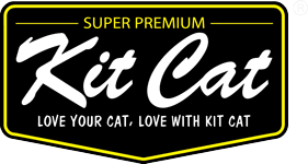 Kit cat @ ithinkpets.com