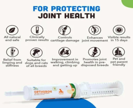 Natural Remedies Orthoron Joint Feed Supplement Paste, 60 ml at ithinkpets.com (2)