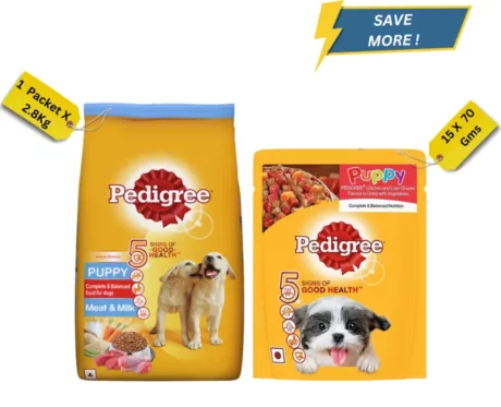 Pedigree Dry And Wet Puppy Food Combo at ithinkpets.com (1) (1)
