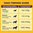 Pedigree Healthy Food Combo For Adult Dogs