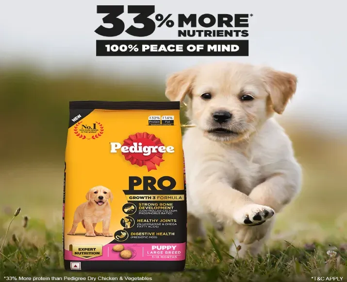 Pedigree PRO Large Breed Puppy Dry Food and Chicken & Vegetables Adult Dry Dog Food Combo at ithinkpets.com (7)