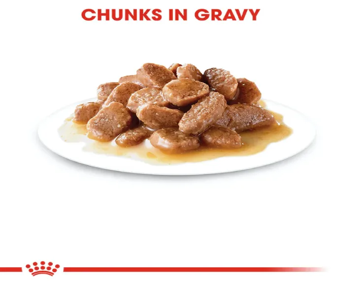 Royal Canin Fit 32 Dry Food And Instinctive Gravy Adult Cat Wet Food at ithinkpets.com (10)
