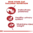 Royal Canin Fit 32 Dry Food And Instinctive Gravy Adult Cat Wet Food