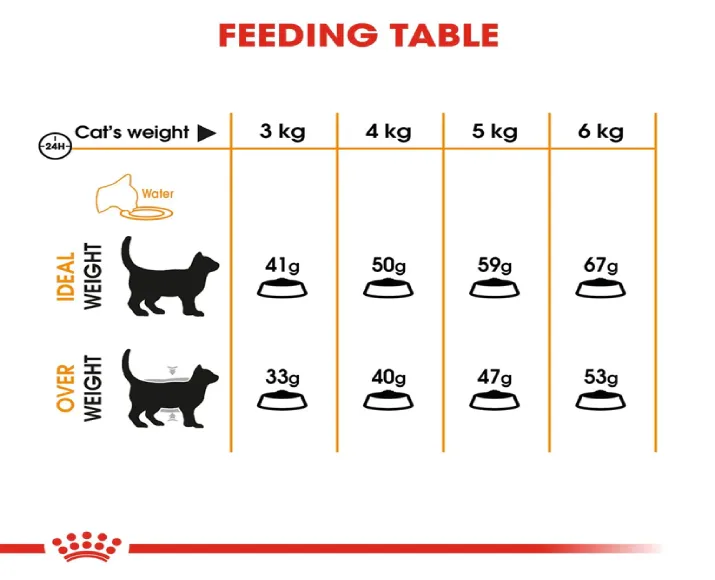 Royal Canin Hair And Skin Dry Food And Intense Beauty Cat Wet Food at ithinkpets.com (5)