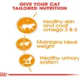 Royal Canin Hair And Skin Dry Food And Intense Beauty Cat Wet Food