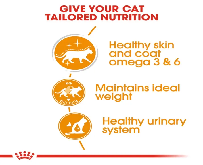 Royal Canin Hair And Skin Dry Food And Intense Beauty Cat Wet Food at ithinkpets.com (7)