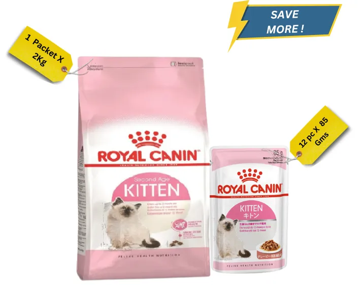 Royal Canin Kitten, 36 Second Age Dry Cat Food at ithinkpets.com (1)