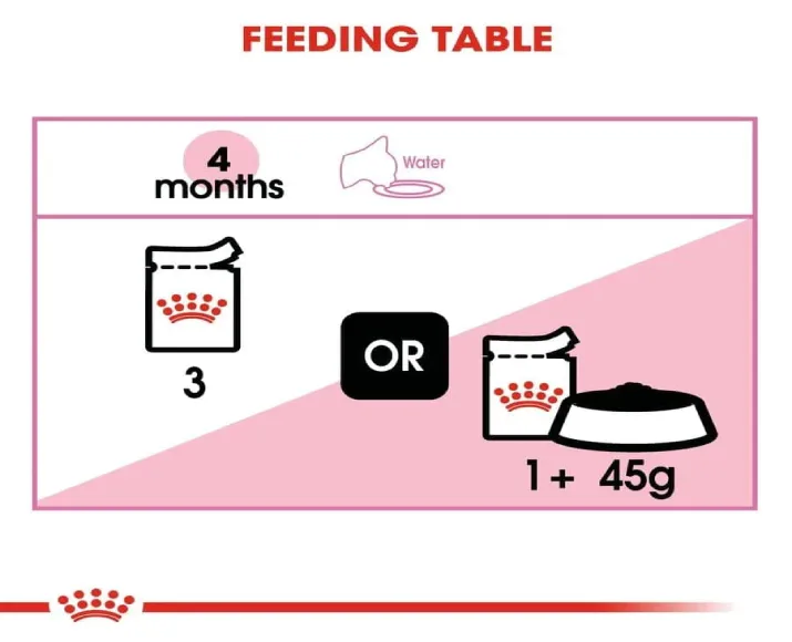 Royal Canin Kitten, 36 Second Age Dry Cat Food at ithinkpets.com (11)