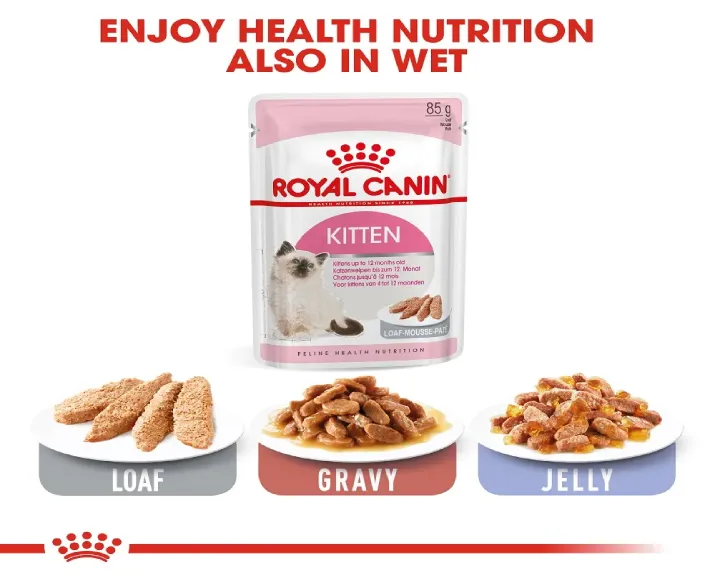Royal Canin Kitten, 36 Second Age Dry Cat Food at ithinkpets.com (5)