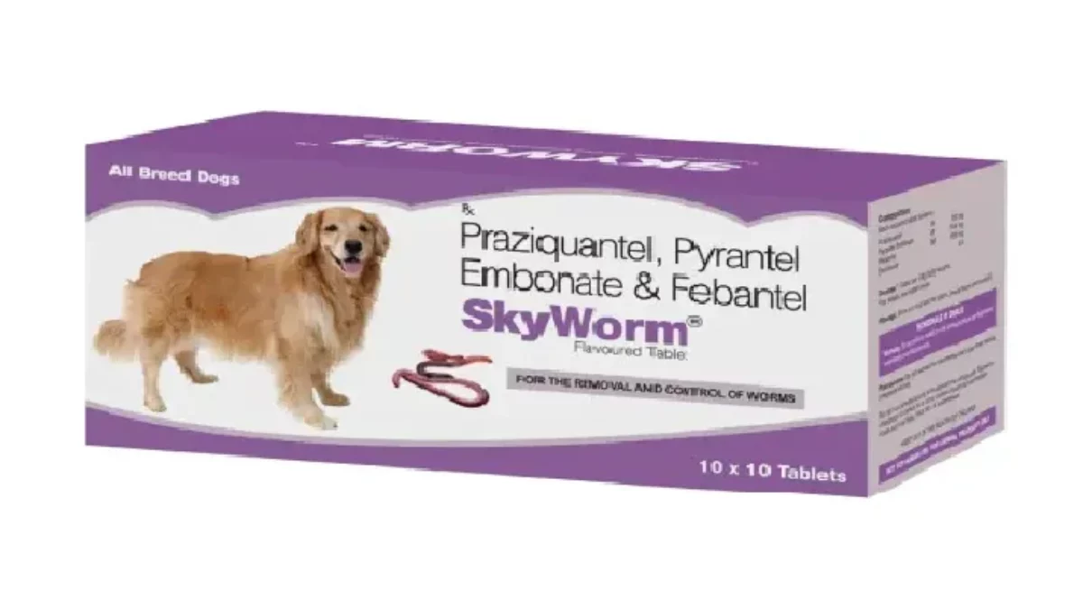 Dog Worm Tabs for Dogs - 2-25 lbs (Orange), Pkg/4