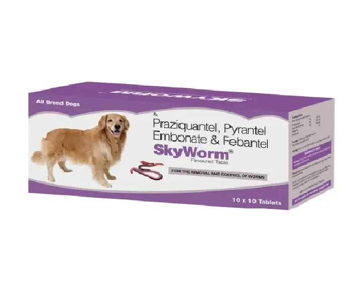 Skyec Skyworm Dog Deworming Tablets (10 Tabs) at ithinkpets.com (1)