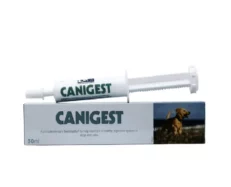 Vetina Canigest Oral Paste for Dogs & Cats, 30 ml at ithinkpets.com (1) (1)