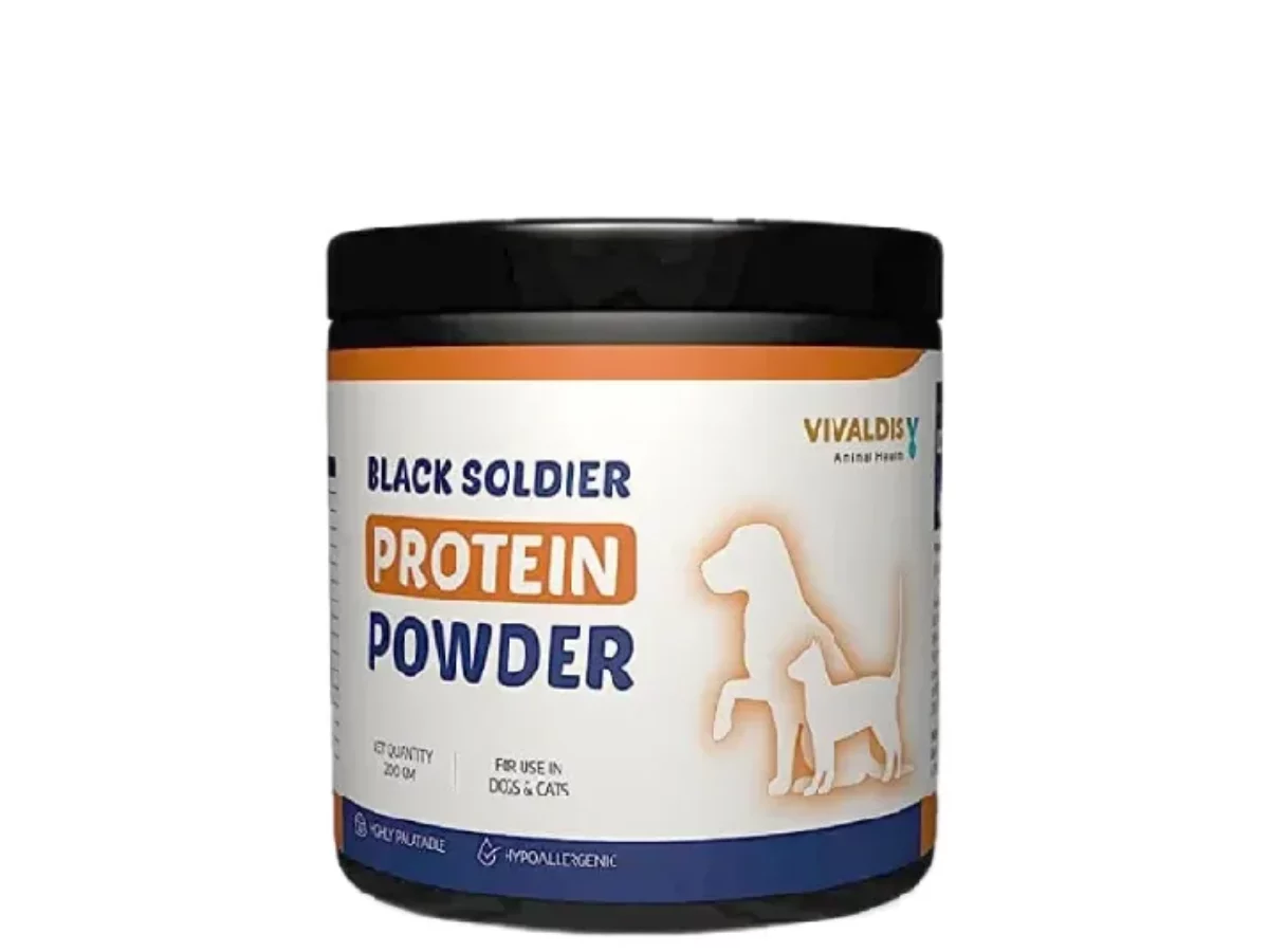 Dog 2024 protein powder