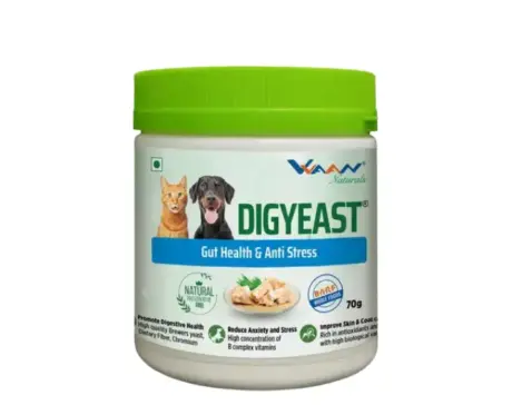 Vvaan Digyeast for Gut Health Supplements for Cats & Dogs, 70 Gms Ithinkpets.com