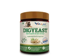 Vvaan Digyeast for Gut Health Supplements for Cats & Dogs, 70 Gms at ithinkpets.com (1) (1)