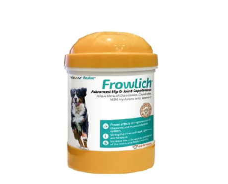 Vvaan Frowlich Tablet, Joint Support, 40 Tablets at ithinkpets.com (1) (1)