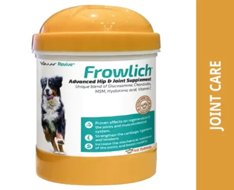 Vvaan Frowlich Tablet, Joint Support, 40 Tablets at ithinkpets.com (2)