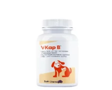 Vvaan VKap B for Dogs & Cats, 60 Tablets at ithinkpets.com (1)