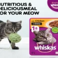 Whiskas Chicken Dry Food and Chicken in Gravy Cat Wet Food Combo