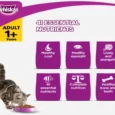 Whiskas Chicken Dry Food and Chicken in Gravy Cat Wet Food Combo