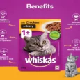 Whiskas Chicken Dry Food and Chicken in Gravy Cat Wet Food Combo