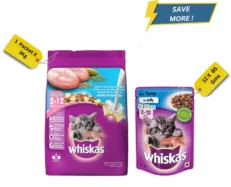 Whiskas Kitten Dry Food And Wet Food Combo at ithinkpets.com (1)