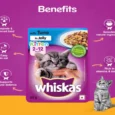 Whiskas Kitten Dry Food And Wet Food Combo