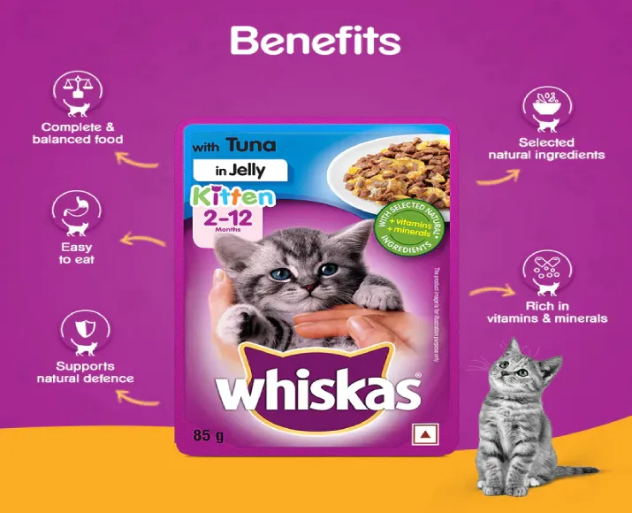 Whiskas Kitten Dry Food And Wet Food Combo at ithinkpets.com (3)