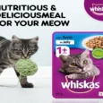 Whiskas Tuna Dry Food and Tuna In Jelly Wet Food Combo