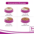 Whiskas Tuna Dry Food and Tuna In Jelly Wet Food Combo