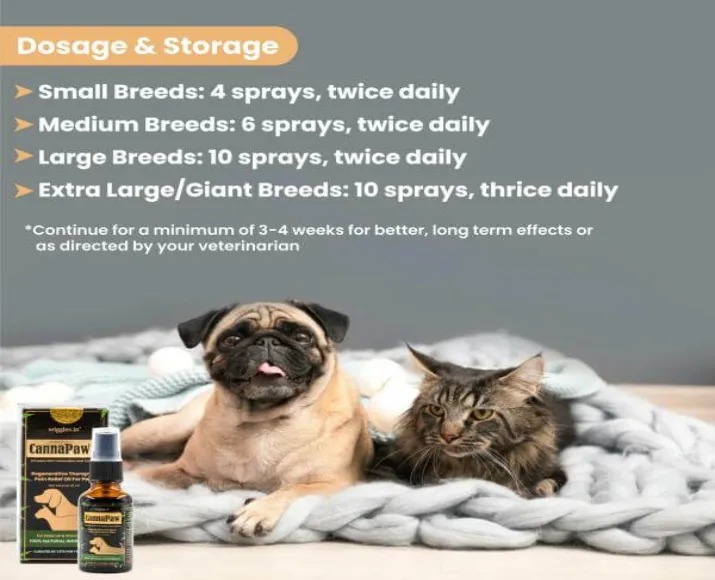 Wiggles Cannapaw Hemp Oil Extract Spray for Dogs & Cats, 30 ml at ithinkpets.com (3)
