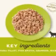 Applaws Tuna Fillet with Seaweed in Broth, Cat Wet Food, 70 Gms at ithinkpets.com 5