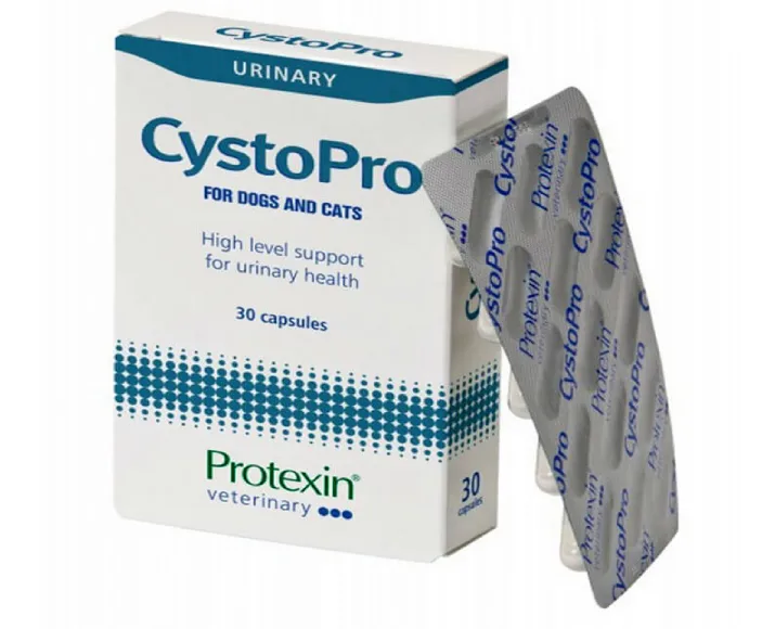 Protexin Cystopro for Dogs & Cats, 30 Capsules at ithinkpets.com (1)