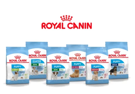 Royal Canin Dog Food at ithinkpets.com (2)