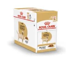 Royal Canin Labrador Retriever Adult Dog Wet Food, Chunks In Gravy, 140 Gms at ithinkpets.com (1) (1)