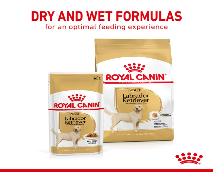 Royal Canin Labrador Retriever Adult Dog Wet Food, Chunks In Gravy, 140 Gms at ithinkpets.com (4)