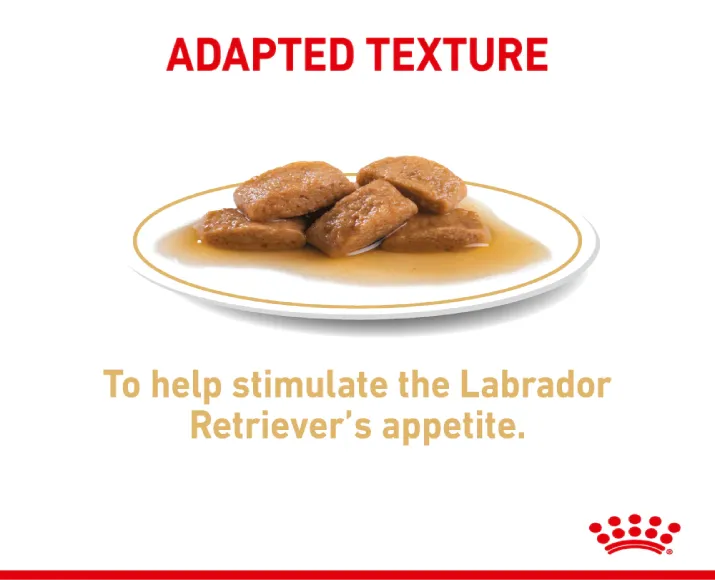 Royal Canin Labrador Retriever Adult Dog Wet Food, Chunks In Gravy, 140 Gms at ithinkpets.com (5)