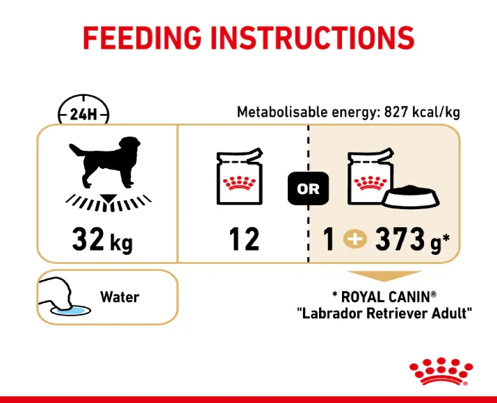 Royal Canin Labrador Retriever Adult Dog Wet Food, Chunks In Gravy, 140 Gms at ithinkpets.com (7)