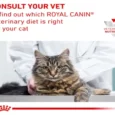 Royal Canin Urinary S/O Moderate Calorie Cat Wet Food, 85 Gms