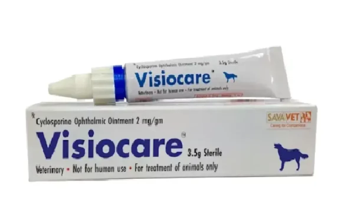 Ciclosporin eye ointment for dogs sales