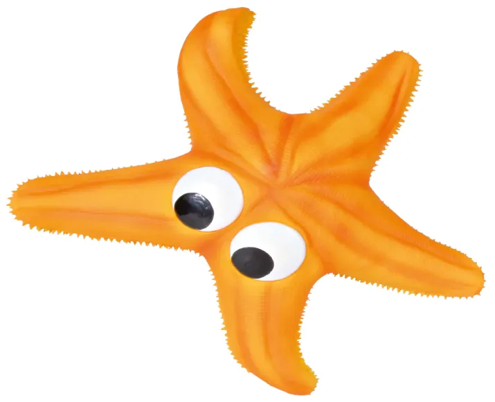 Trixie Starfish Latex Toy For Dogs, 23 cms at ithinkpets.com (2)