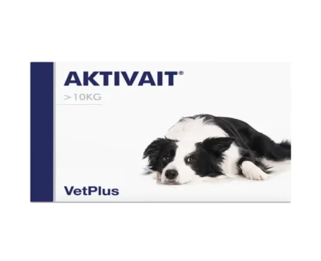 Vetplus Aktivait Nutraceutical Supplement for Dog at ithinkpets.com (1)