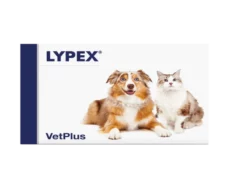 Vetplus Lypex Nutraceutical Supplement Capsules for Dog & Cat at ithinkpets.com (1)
