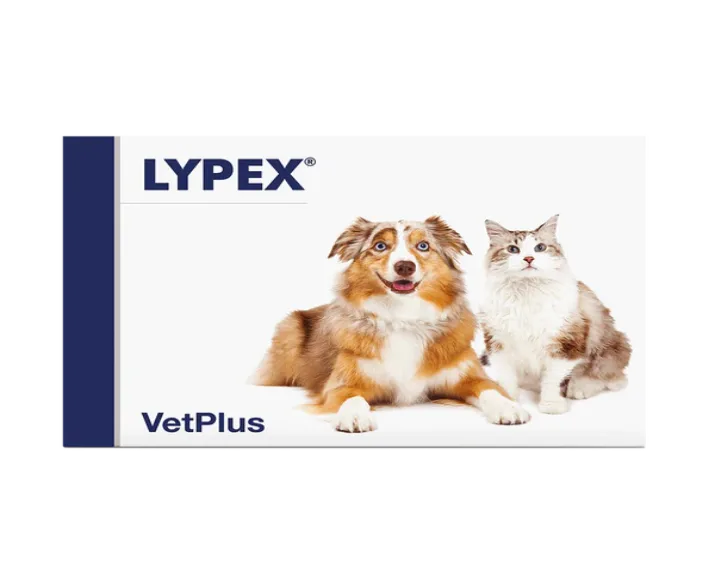Vetplus Lypex Nutraceutical Supplement Capsules for Dog & Cat at ithinkpets.com (1)