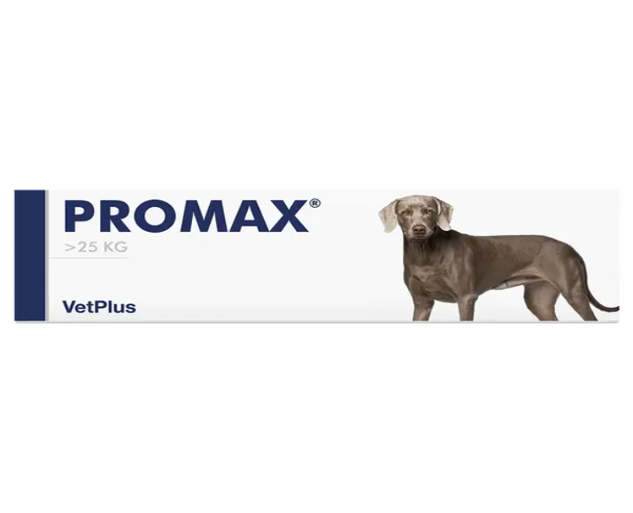 Vetplus Promax Nutraceutical Supplement for Dog at ithinkpets.com (3)