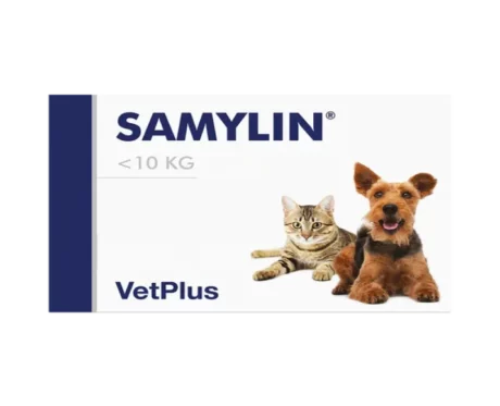 Vetplus Samylin Nutraceutical Supplement for Dog & Cat at ithinkpets.com (1)